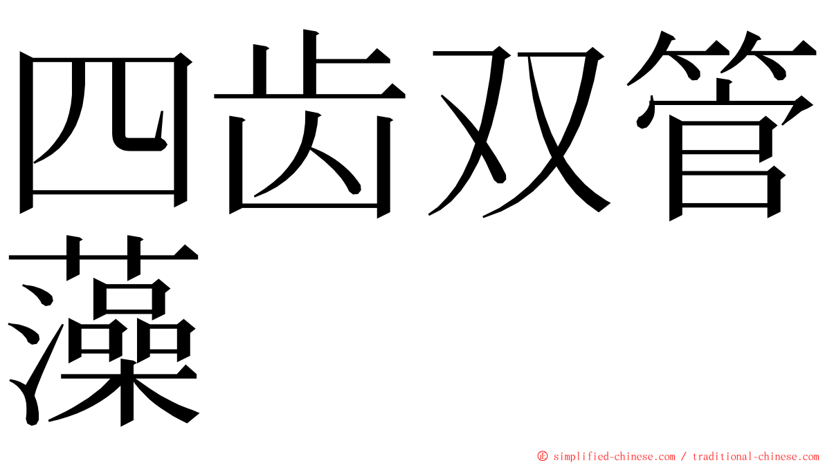四齿双管藻 ming font