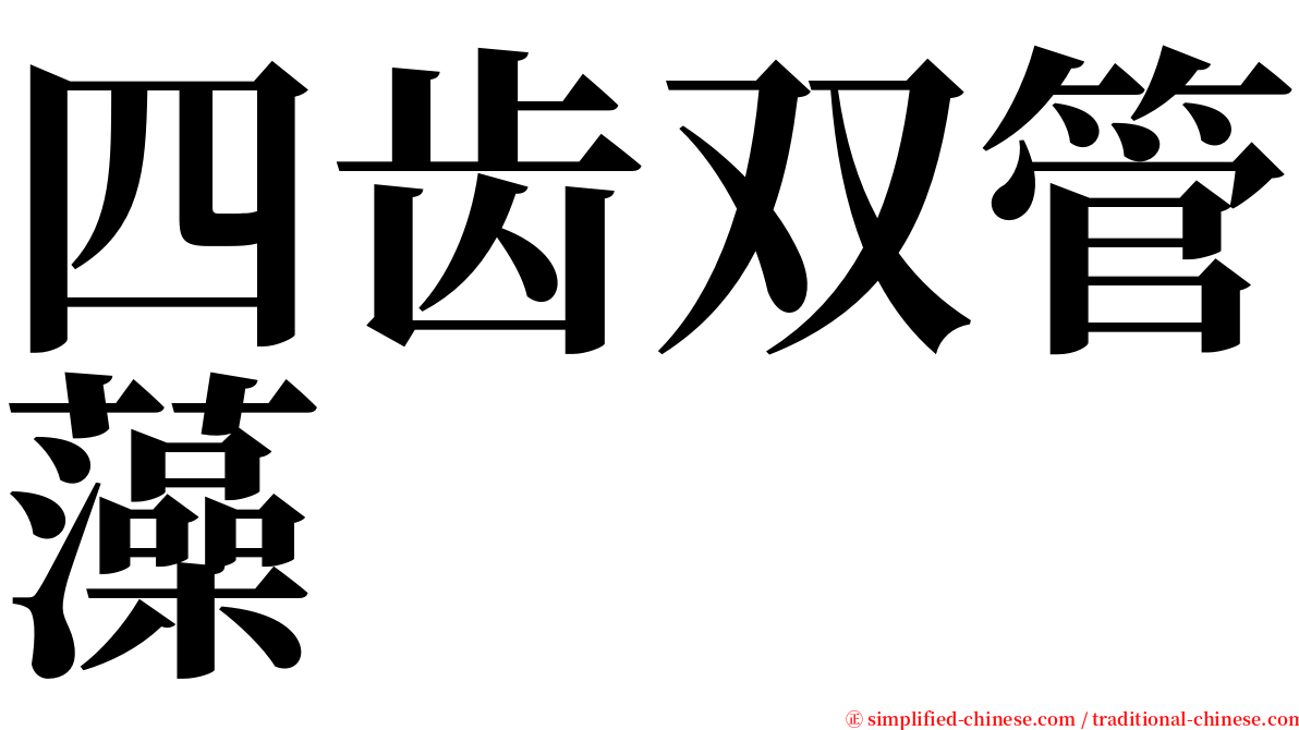 四齿双管藻 serif font