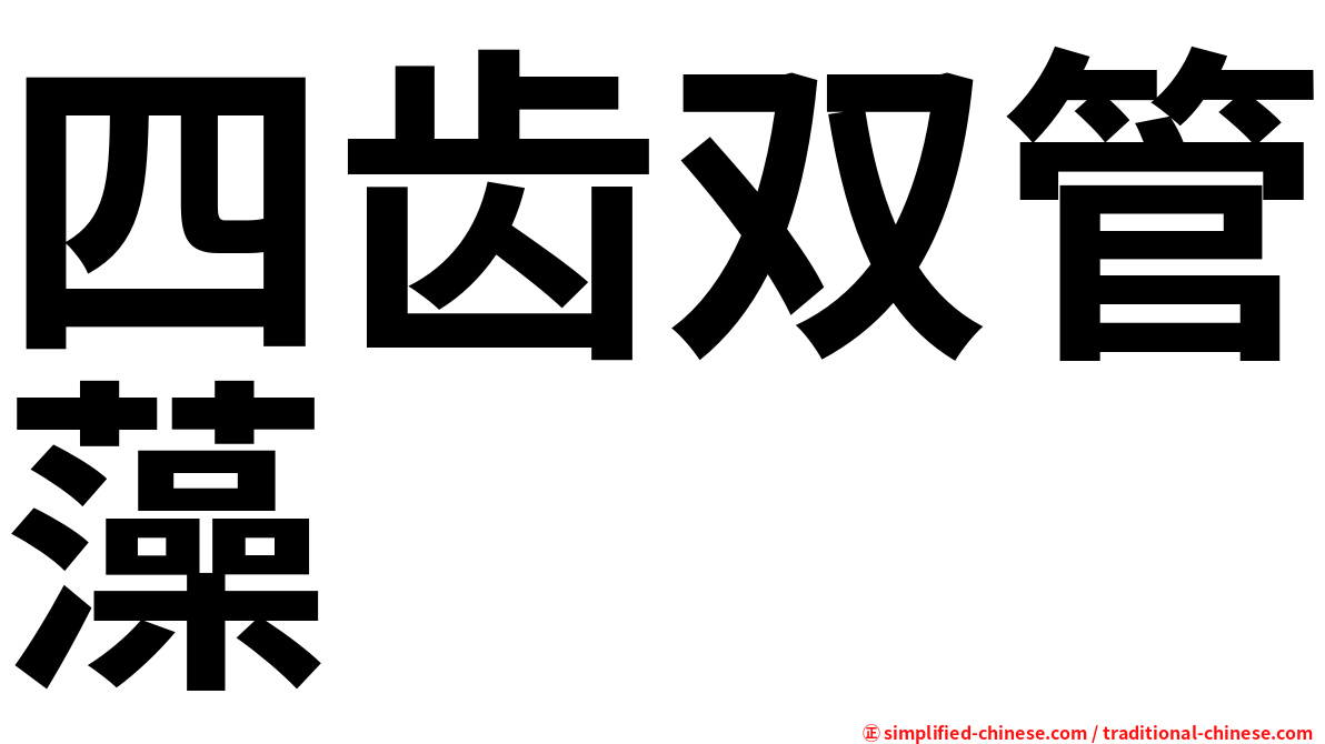 四齿双管藻