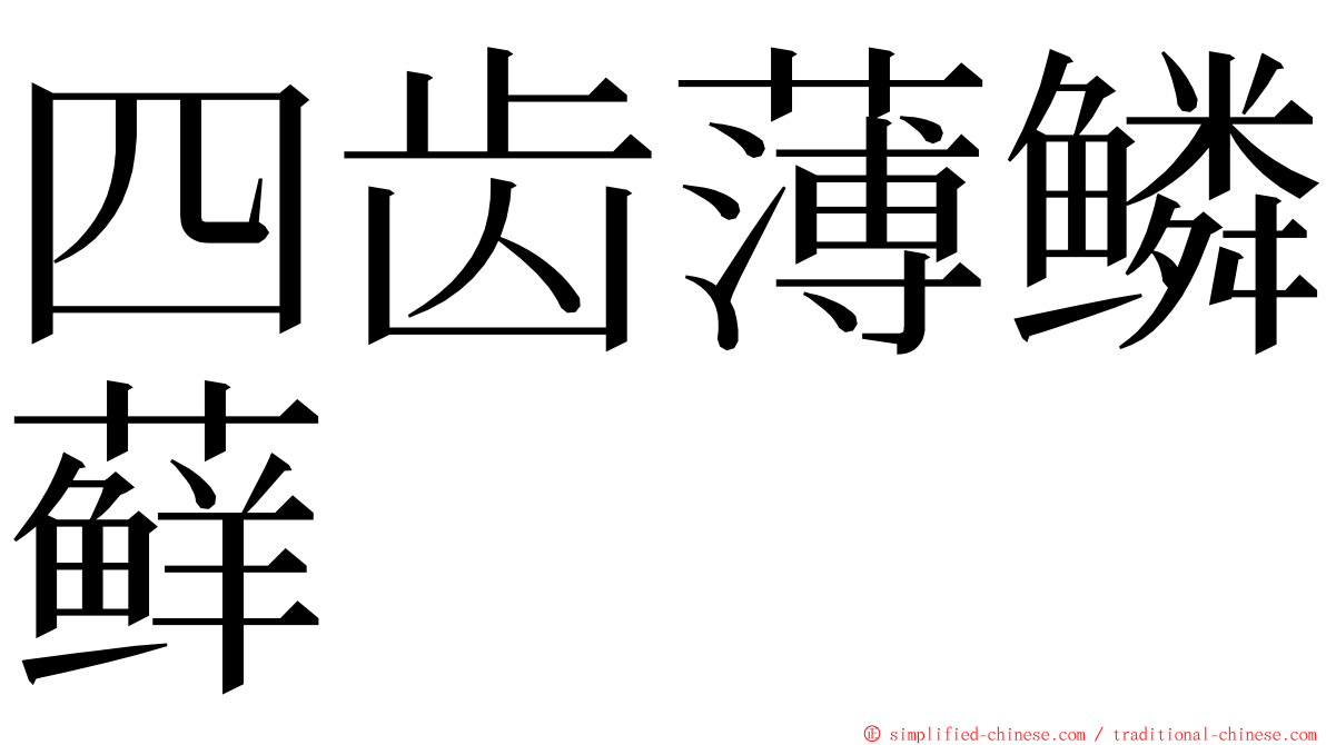 四齿薄鳞藓 ming font