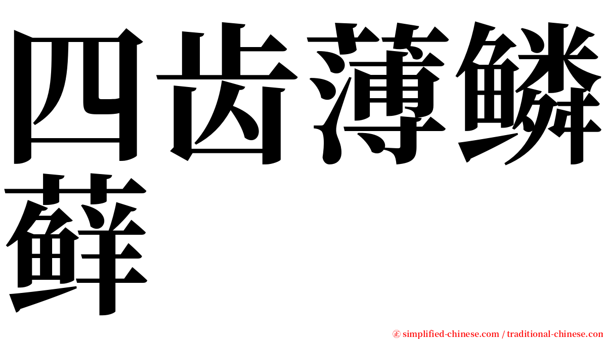 四齿薄鳞藓 serif font
