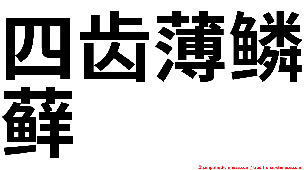 四齿薄鳞藓