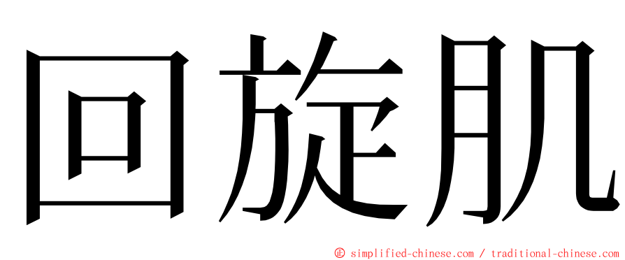 回旋肌 ming font
