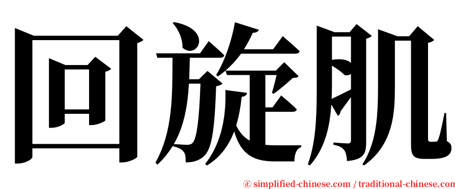 回旋肌 serif font