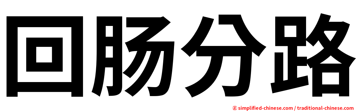 回肠分路