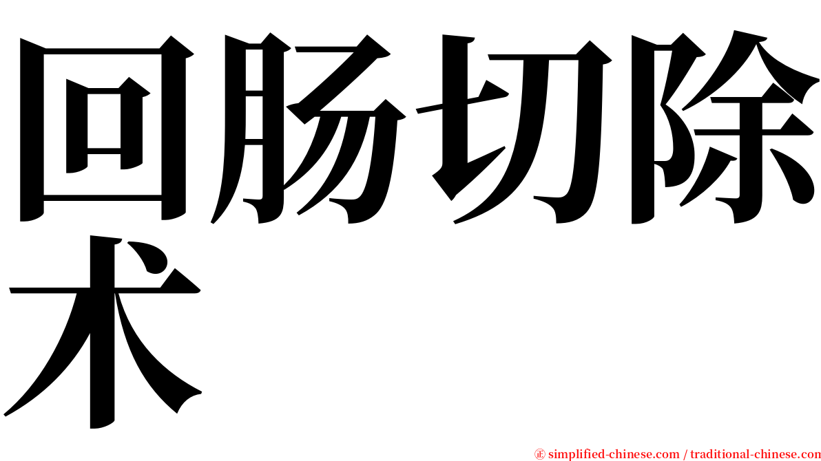 回肠切除术 serif font