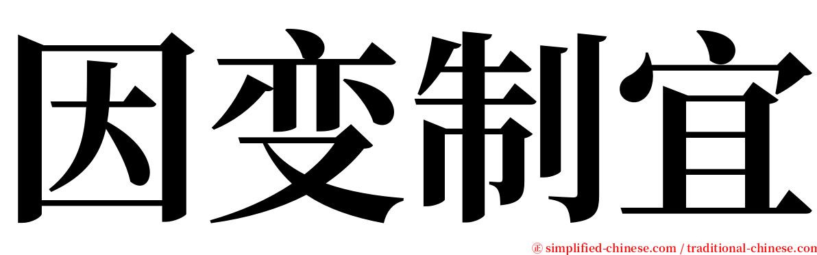 因变制宜 serif font