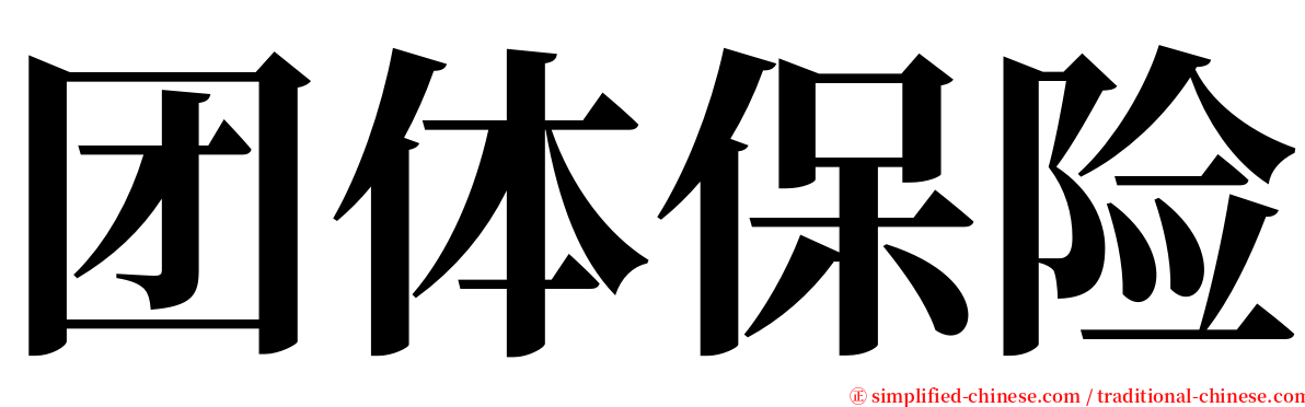 团体保险 serif font
