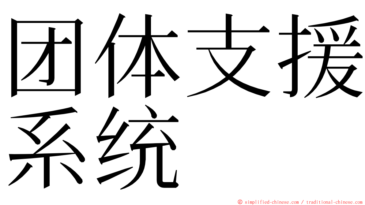 团体支援系统 ming font