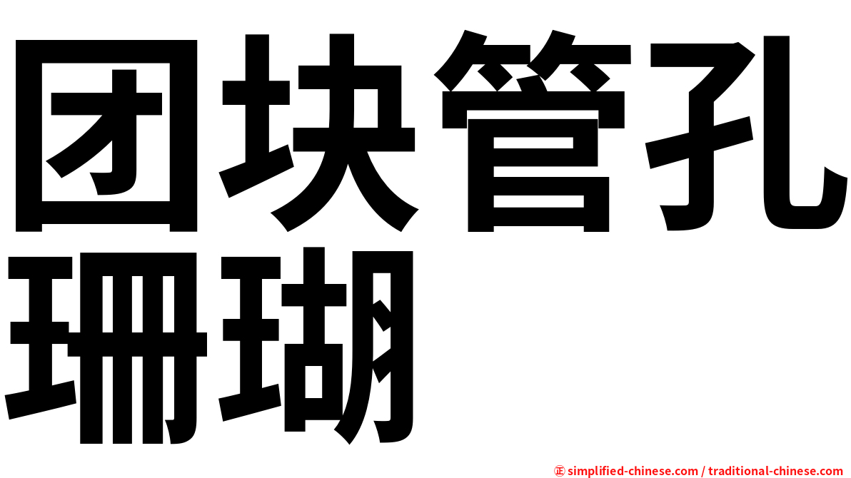 团块管孔珊瑚