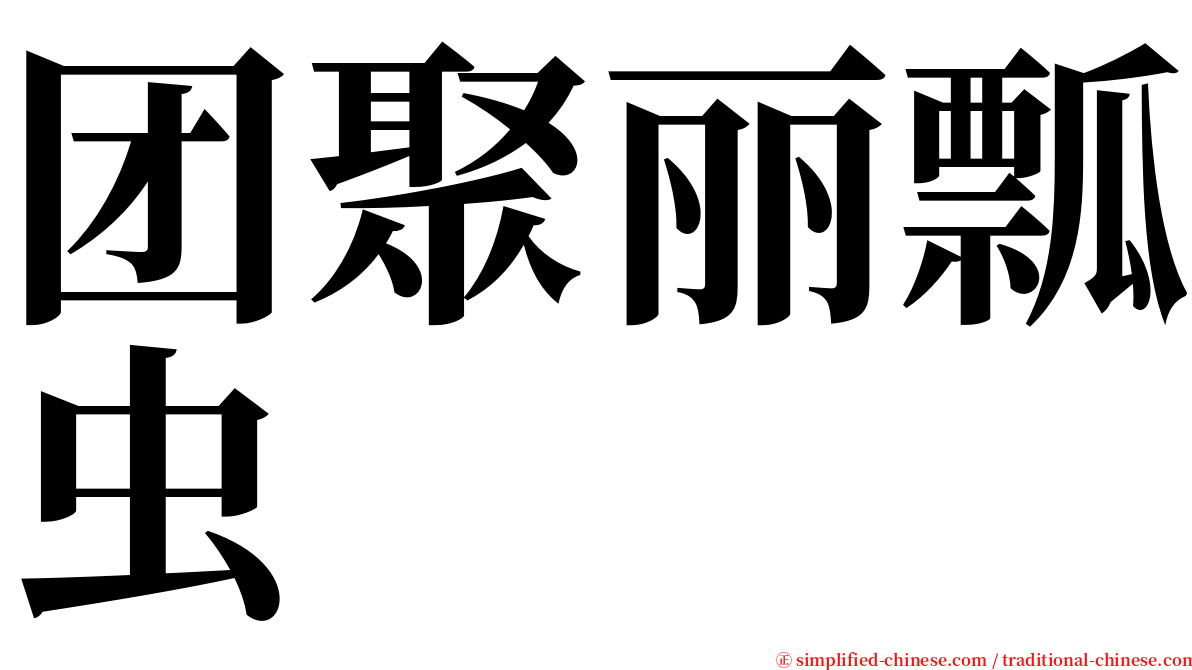 团聚丽瓢虫 serif font