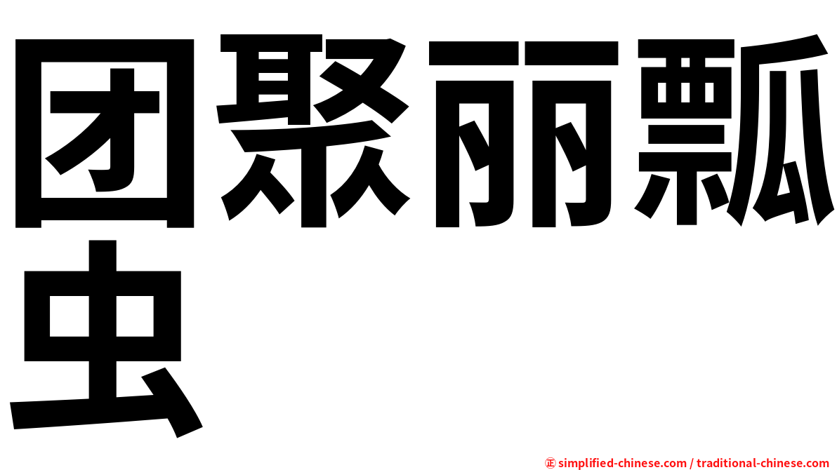 团聚丽瓢虫