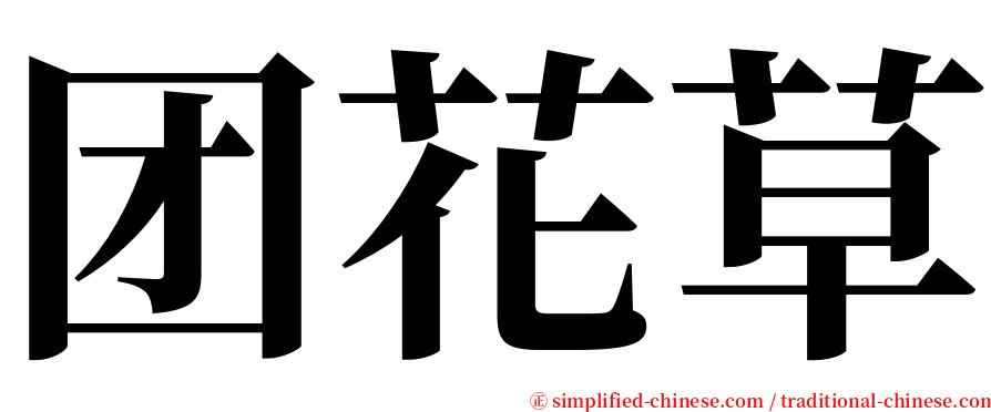 团花草 serif font