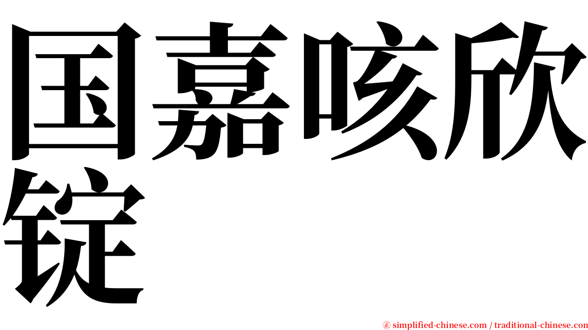 国嘉咳欣锭 serif font