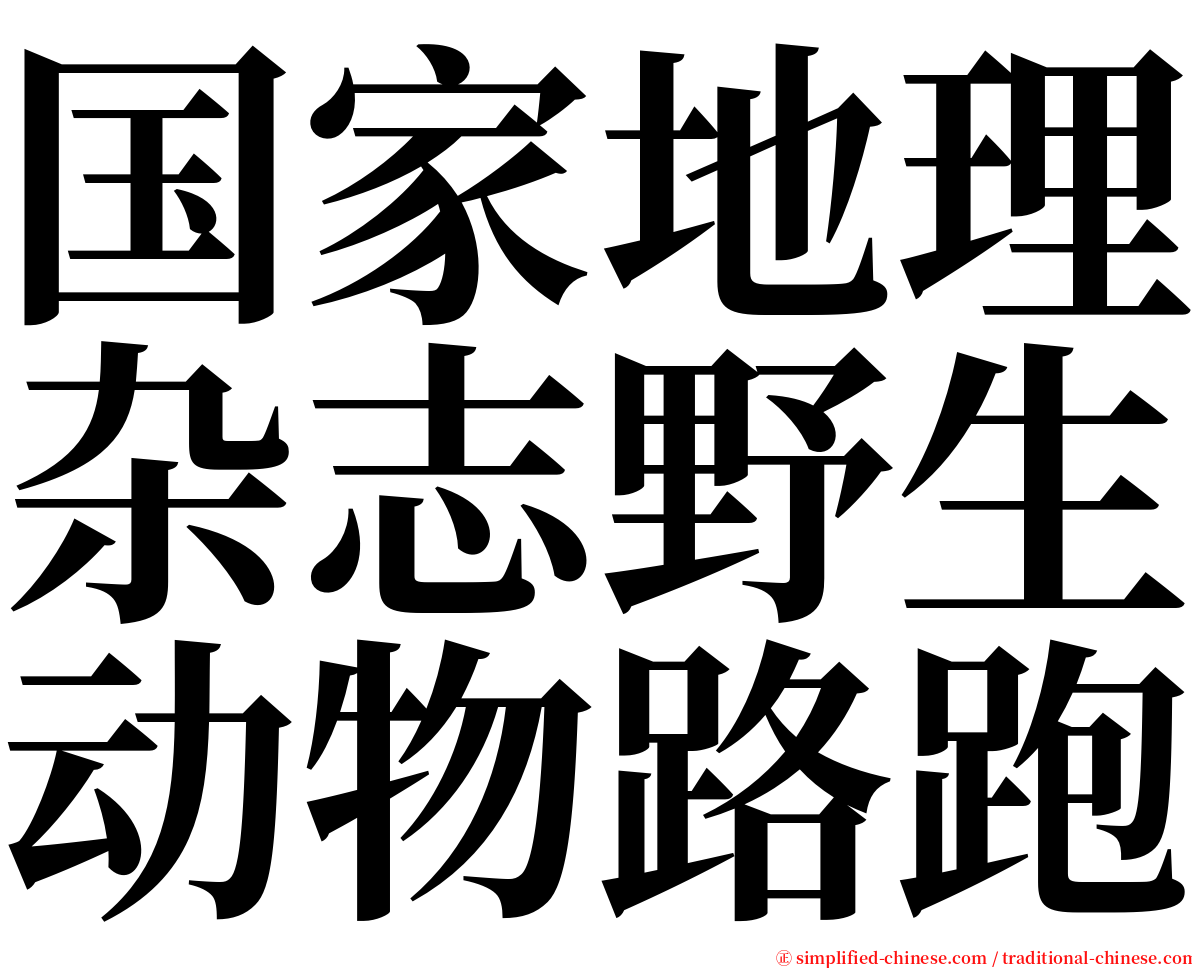 国家地理杂志野生动物路跑 serif font