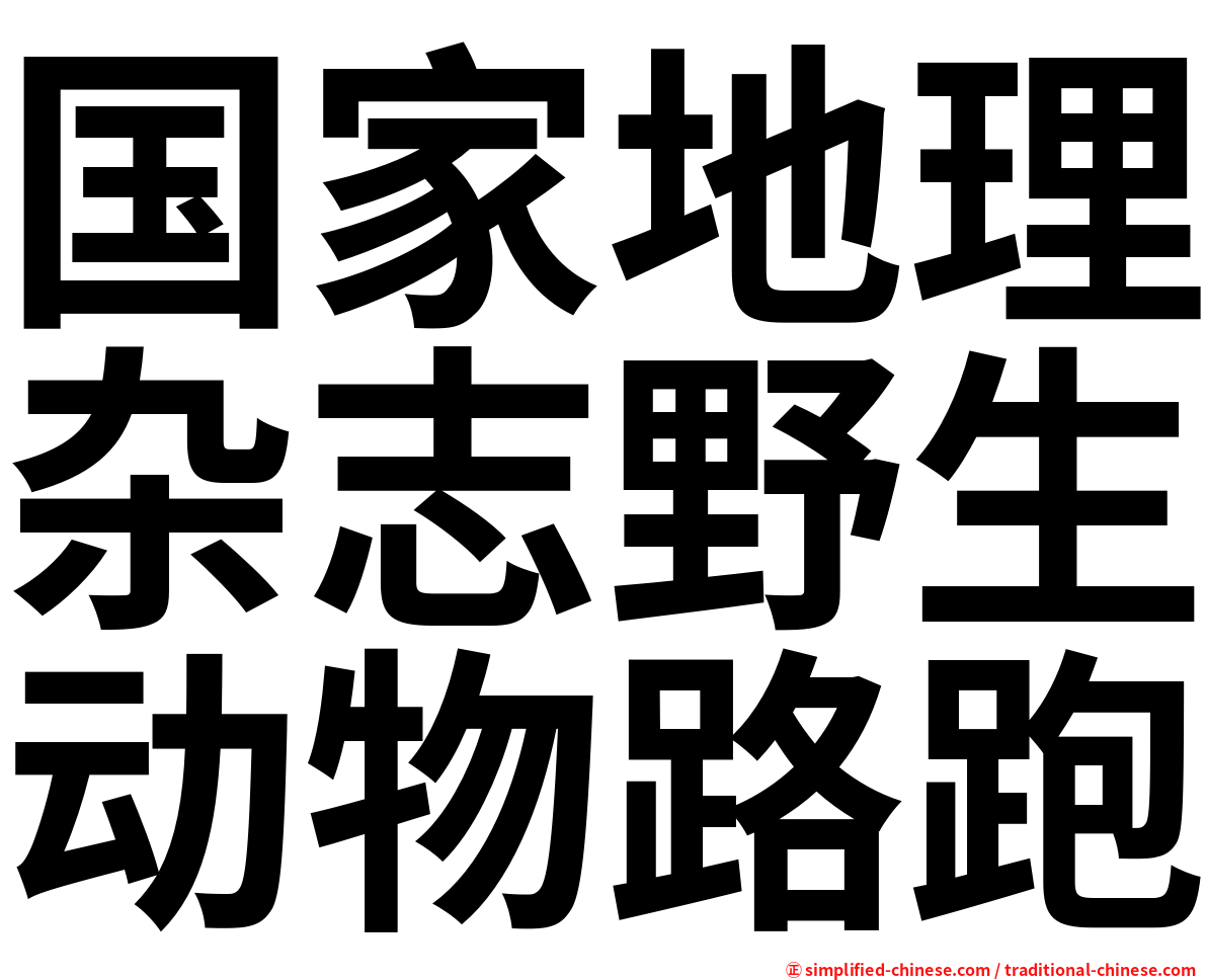 国家地理杂志野生动物路跑