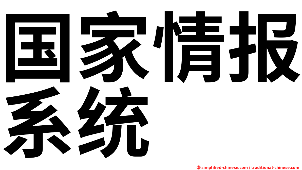国家情报系统