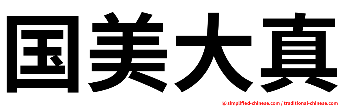 国美大真