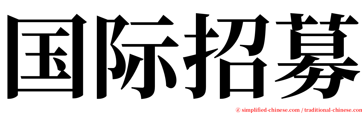 国际招募 serif font