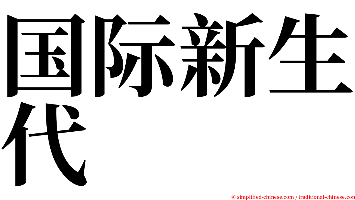 国际新生代 serif font