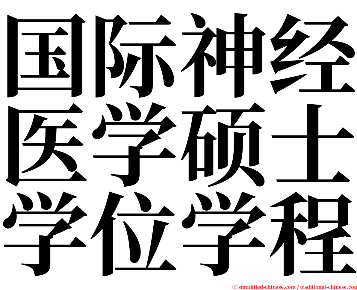 国际神经医学硕士学位学程 serif font