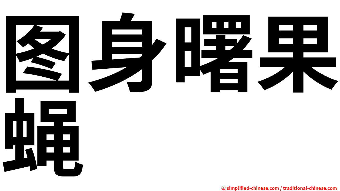 图身曙果蝇