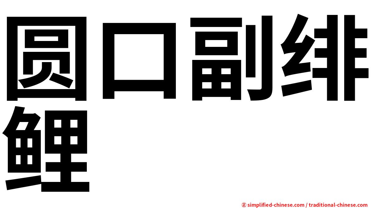 圆口副绯鲤