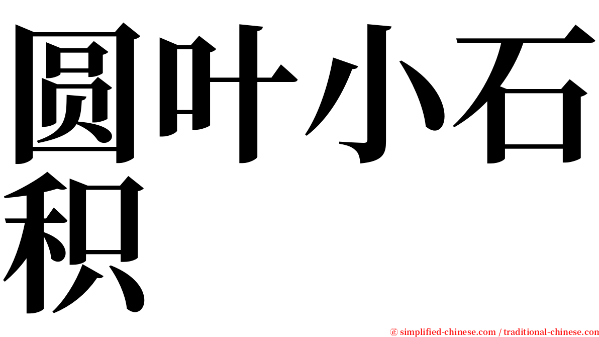 圆叶小石积 serif font