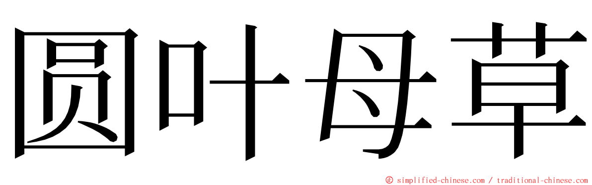 圆叶母草 ming font