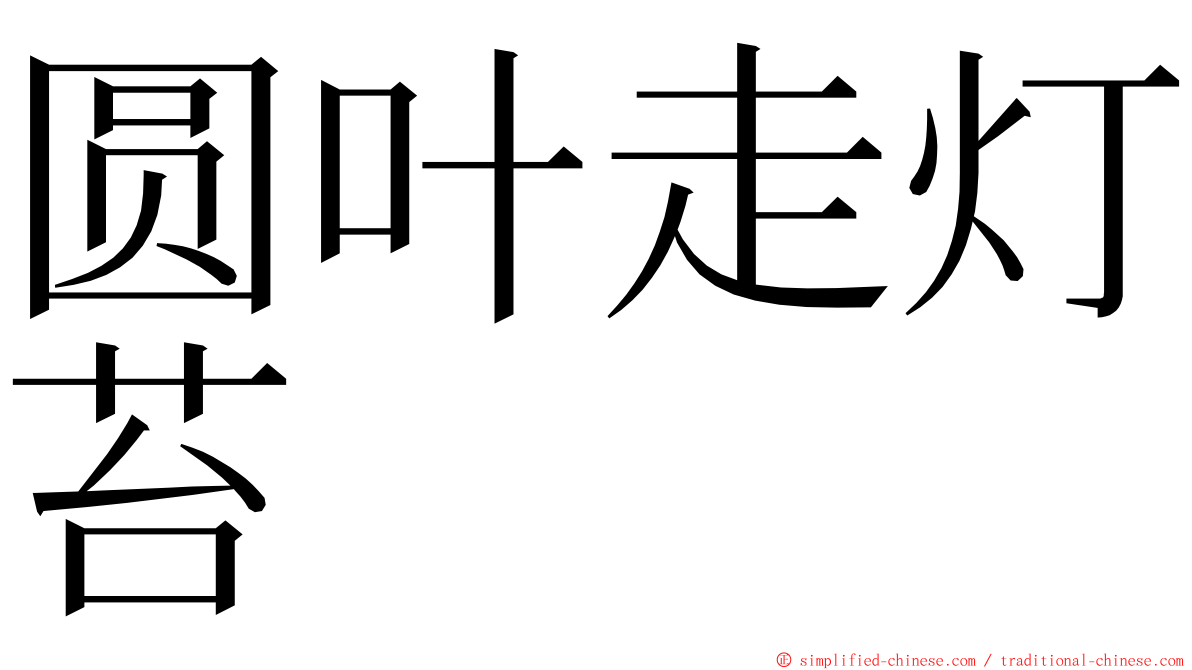 圆叶走灯苔 ming font