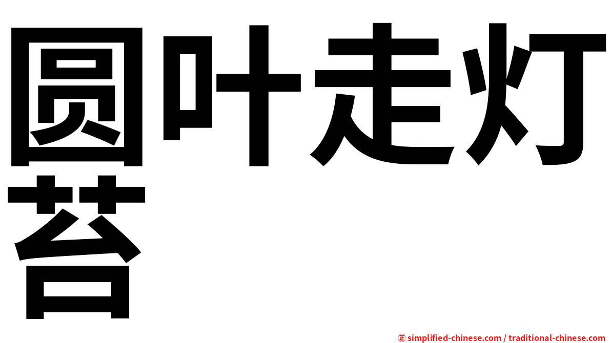 圆叶走灯苔