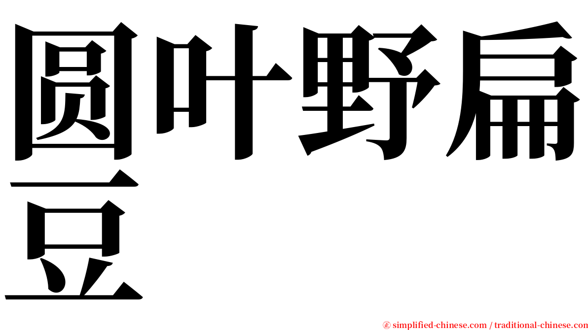 圆叶野扁豆 serif font