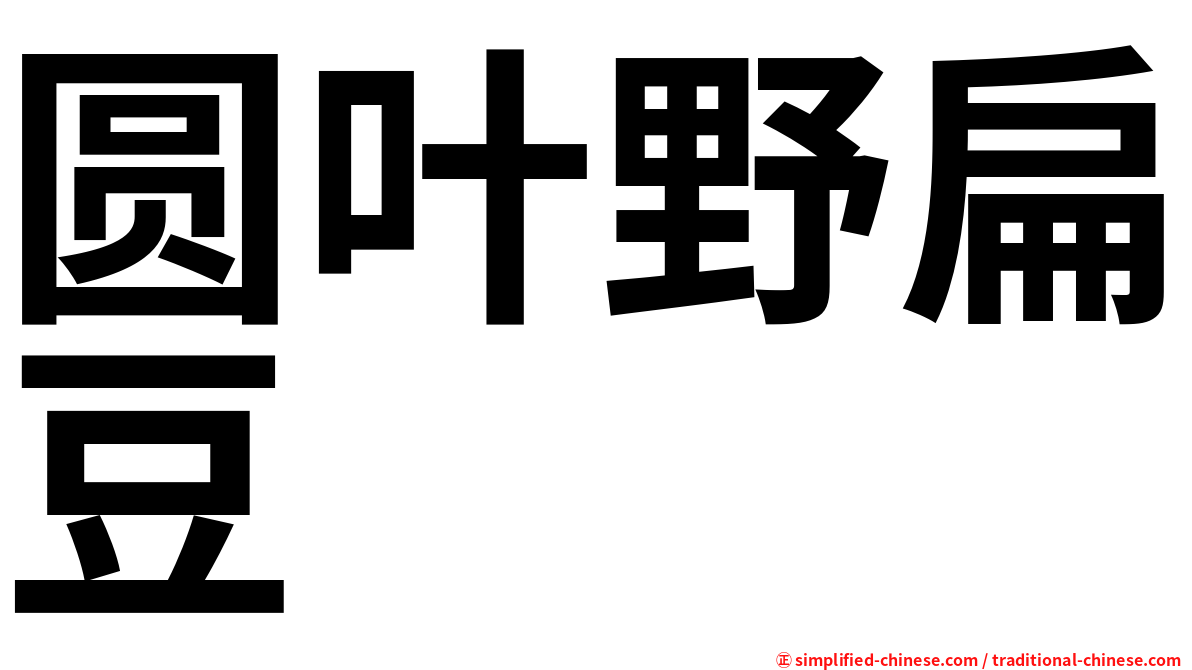 圆叶野扁豆
