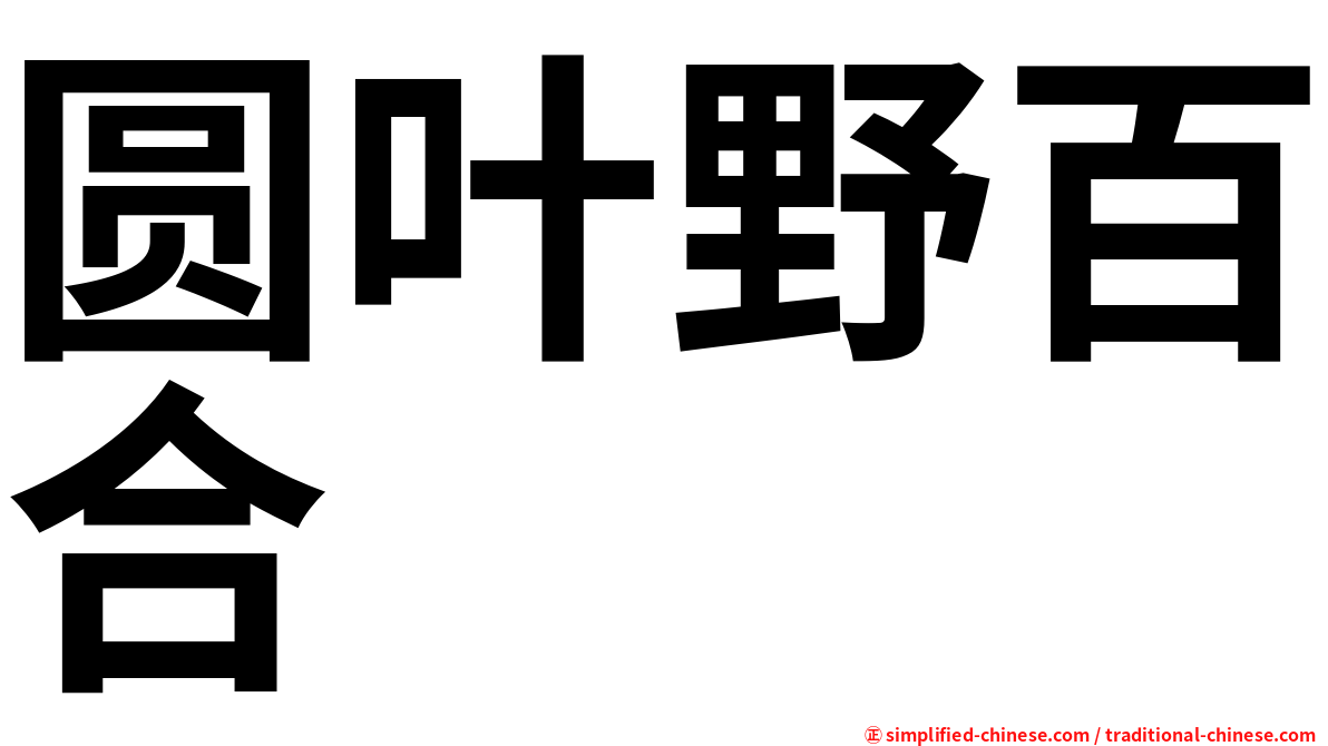 圆叶野百合