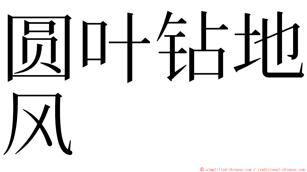 圆叶钻地风 ming font