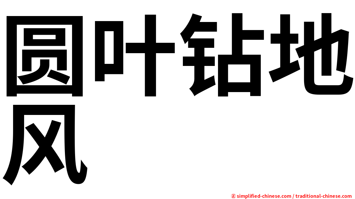 圆叶钻地风