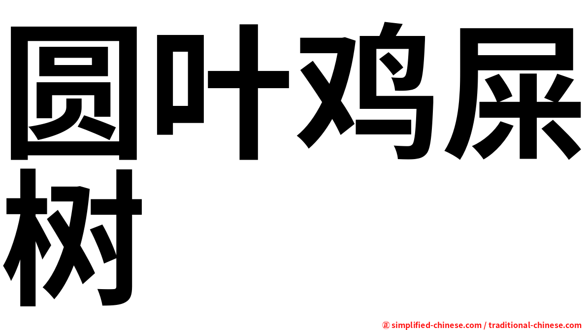圆叶鸡屎树