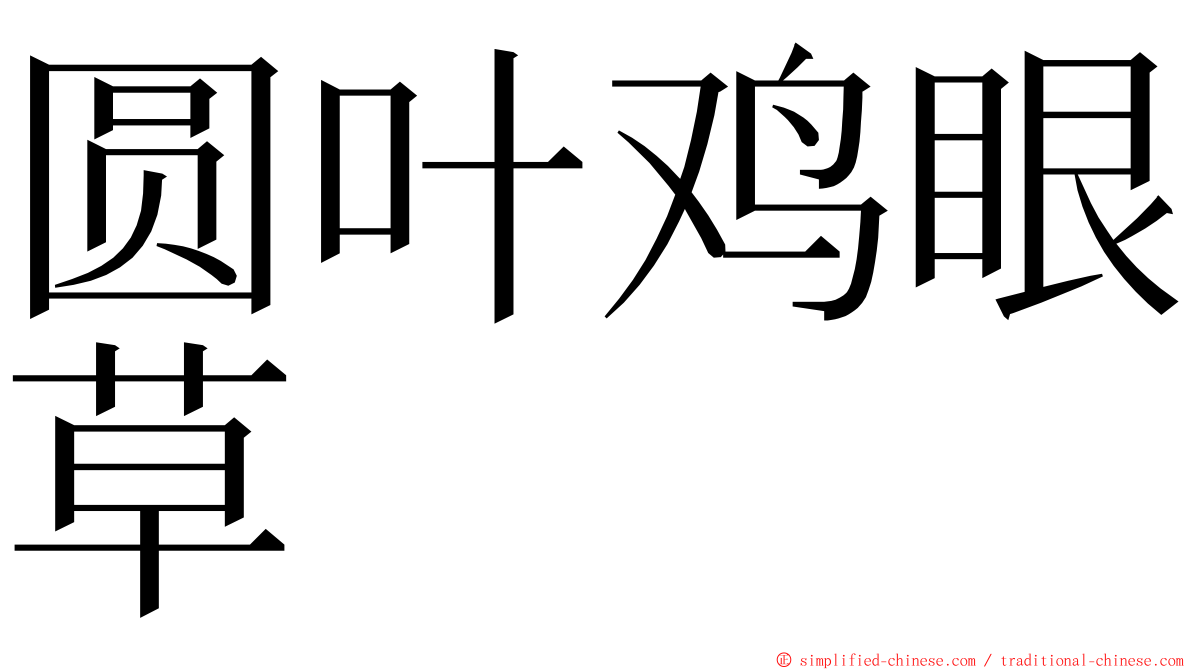 圆叶鸡眼草 ming font