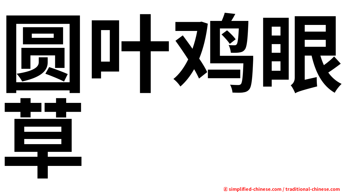 圆叶鸡眼草