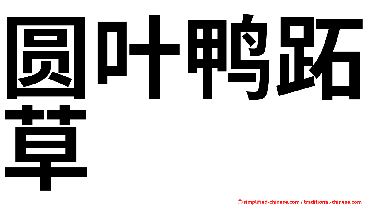 圆叶鸭跖草