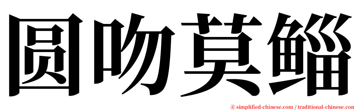 圆吻莫鲻 serif font