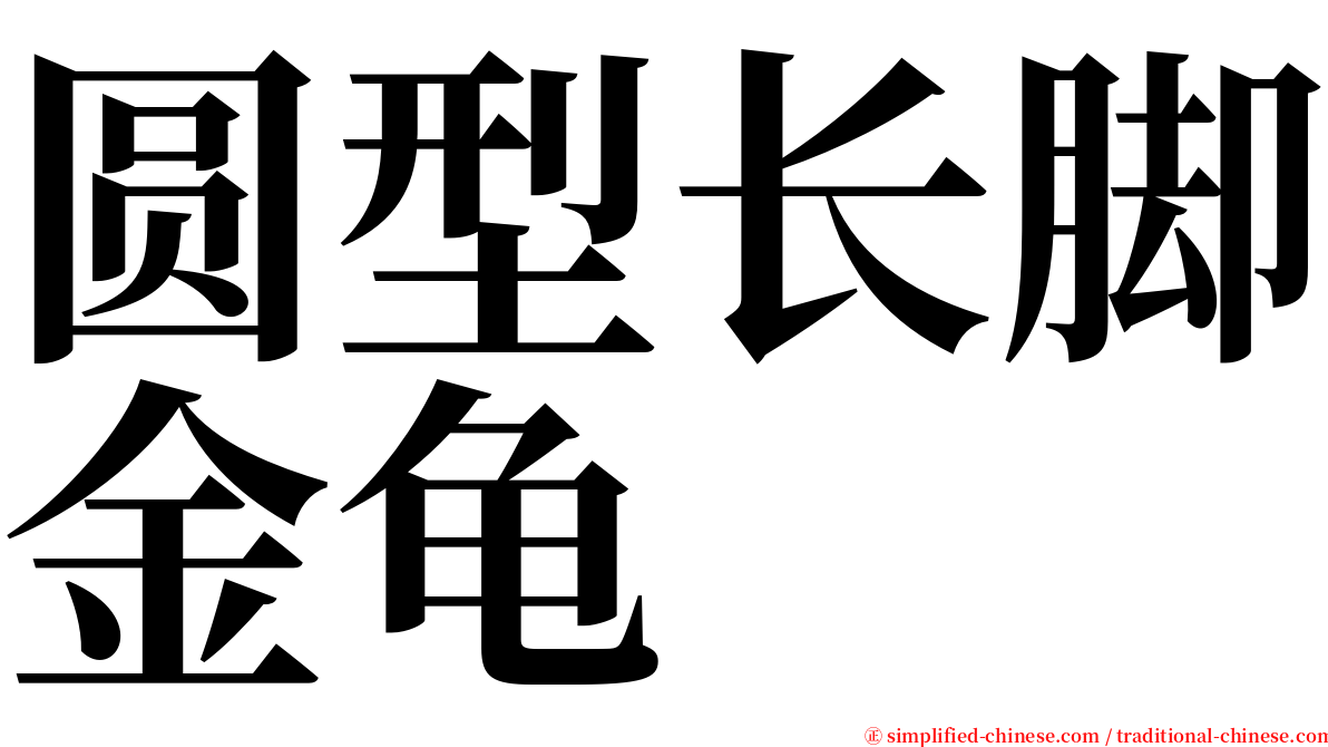 圆型长脚金龟 serif font