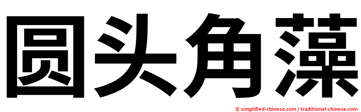 圆头角藻