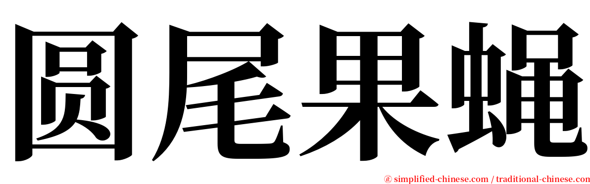 圆尾果蝇 serif font