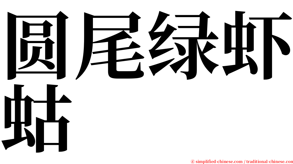 圆尾绿虾蛄 serif font