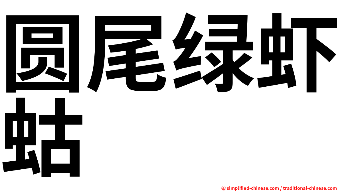 圆尾绿虾蛄