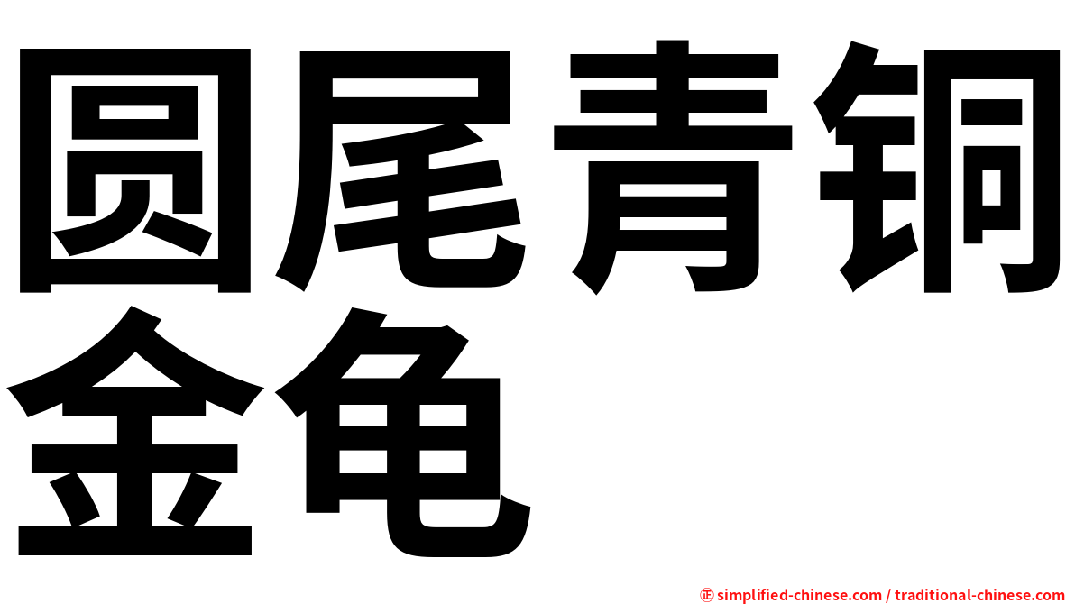 圆尾青铜金龟