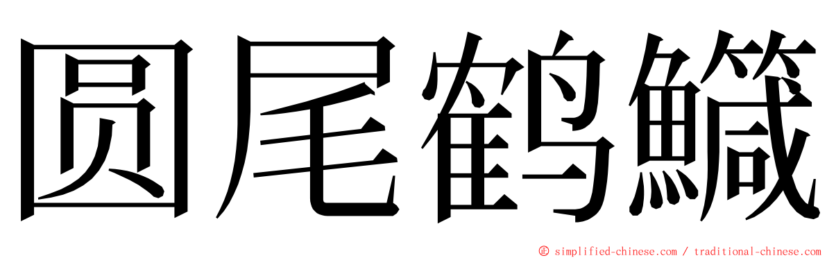 圆尾鹤鱵 ming font
