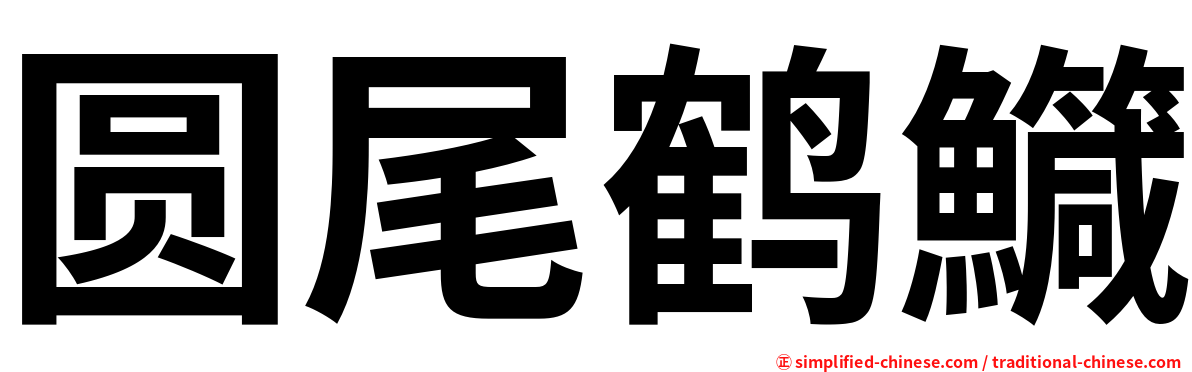 圆尾鹤鱵