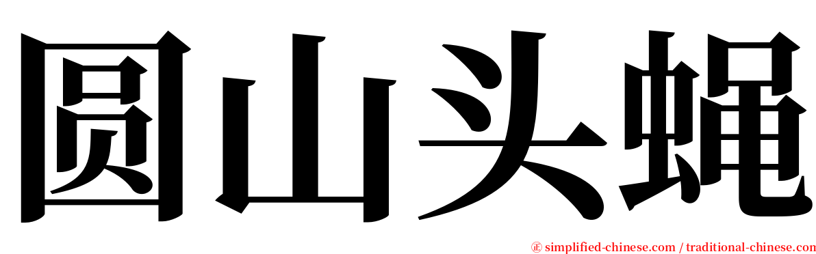 圆山头蝇 serif font